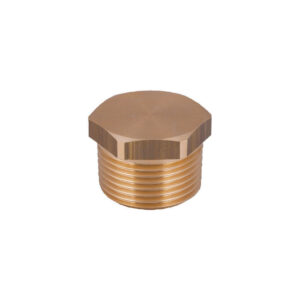 Guidi Hex Plug M 1/2 in